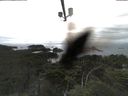 ./images/calvert/lookout/20210725/lookout20210725_165501.jpg