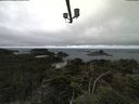 ./images/calvert/lookout/20210726/lookout20210726_115502.jpg