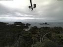 ./images/calvert/lookout/20210726/lookout20210726_142001.jpg