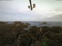 ./images/calvert/lookout/20210727/lookout20210727_052001.jpg