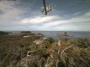./images/calvert/lookout/20210727/lookout20210727_094502.jpg