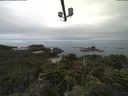 ./images/calvert/lookout/20210728/lookout20210728_082502.jpg