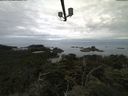 ./images/calvert/lookout/20210728/lookout20210728_091002.jpg