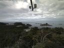 ./images/calvert/lookout/20210728/lookout20210728_104002.jpg