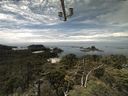 ./images/calvert/lookout/20210728/lookout20210728_133501.jpg