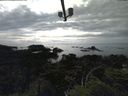 ./images/calvert/lookout/20210728/lookout20210728_165502.jpg