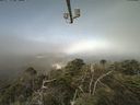 ./images/calvert/lookout/20210729/lookout20210729_100001.jpg