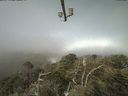 ./images/calvert/lookout/20210729/lookout20210729_101501.jpg