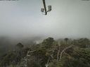 ./images/calvert/lookout/20210729/lookout20210729_105002.jpg
