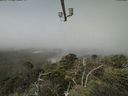 ./images/calvert/lookout/20210729/lookout20210729_110502.jpg