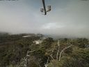 ./images/calvert/lookout/20210729/lookout20210729_111002.jpg