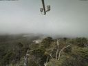 ./images/calvert/lookout/20210729/lookout20210729_111501.jpg