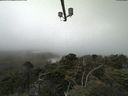 ./images/calvert/lookout/20210729/lookout20210729_113501.jpg