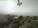 ./images/calvert/lookout/20210729/lookout20210729_114501.jpg