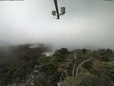 ./images/calvert/lookout/20210729/lookout20210729_115501.jpg