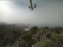 ./images/calvert/lookout/20210729/lookout20210729_123502.jpg