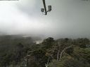 ./images/calvert/lookout/20210729/lookout20210729_124002.jpg