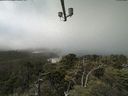 ./images/calvert/lookout/20210729/lookout20210729_125502.jpg