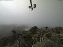 ./images/calvert/lookout/20210729/lookout20210729_130501.jpg