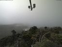 ./images/calvert/lookout/20210729/lookout20210729_131001.jpg