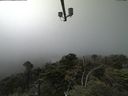 ./images/calvert/lookout/20210729/lookout20210729_133501.jpg