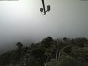 ./images/calvert/lookout/20210729/lookout20210729_134501.jpg