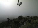 ./images/calvert/lookout/20210729/lookout20210729_142002.jpg