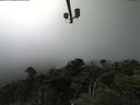 ./images/calvert/lookout/20210729/lookout20210729_145002.jpg
