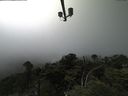 ./images/calvert/lookout/20210729/lookout20210729_145501.jpg