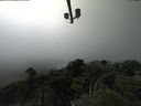 ./images/calvert/lookout/20210729/lookout20210729_150501.jpg