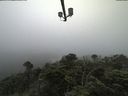 ./images/calvert/lookout/20210730/lookout20210730_083501.jpg