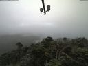 ./images/calvert/lookout/20210730/lookout20210730_084501.jpg