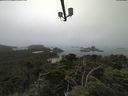 ./images/calvert/lookout/20210730/lookout20210730_100001.jpg