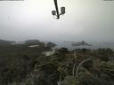 ./images/calvert/lookout/20210730/lookout20210730_100501.jpg