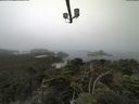 ./images/calvert/lookout/20210730/lookout20210730_101501.jpg