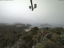 ./images/calvert/lookout/20210730/lookout20210730_104501.jpg