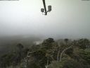 ./images/calvert/lookout/20210730/lookout20210730_110502.jpg