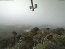 ./images/calvert/lookout/20210730/lookout20210730_111002.jpg