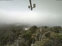 ./images/calvert/lookout/20210730/lookout20210730_112002.jpg