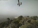 ./images/calvert/lookout/20210730/lookout20210730_114002.jpg