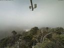 ./images/calvert/lookout/20210730/lookout20210730_114501.jpg