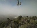 ./images/calvert/lookout/20210730/lookout20210730_115501.jpg