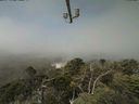 ./images/calvert/lookout/20210730/lookout20210730_120001.jpg