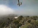 ./images/calvert/lookout/20210730/lookout20210730_121501.jpg