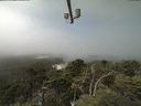 ./images/calvert/lookout/20210730/lookout20210730_122501.jpg