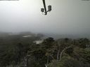 ./images/calvert/lookout/20210730/lookout20210730_125501.jpg