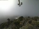 ./images/calvert/lookout/20210730/lookout20210730_132502.jpg