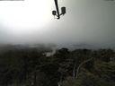 ./images/calvert/lookout/20210730/lookout20210730_145501.jpg