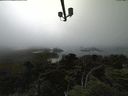 ./images/calvert/lookout/20210730/lookout20210730_151002.jpg
