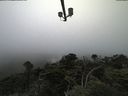 ./images/calvert/lookout/20210730/lookout20210730_171502.jpg